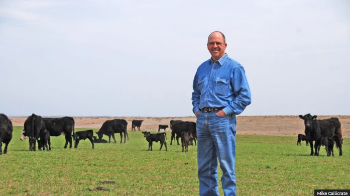 US Beef Prices Surge: Can Trump’s Plans Really Bring Relief?