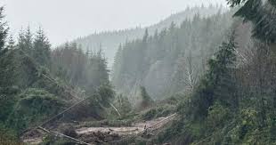 Vancouver Island Storm Triggers Landslide and Severe Flooding