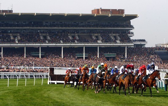 Cheltenham Festival Saturday Switch a Gamble Not Worth Taking