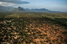 Isiolo’s Carbon Battle: Communities Clash Over Land Rights and Conservation Deals