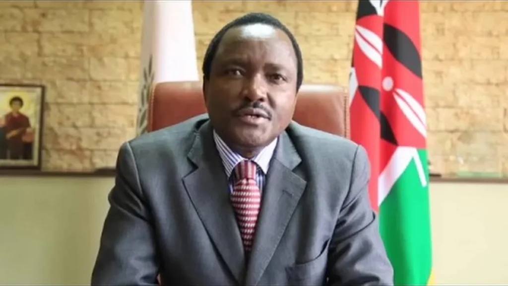 Kalonzo Musyoka Announces Opposition’s Planned Visit to Raila Odinga’s Grave in Bondo