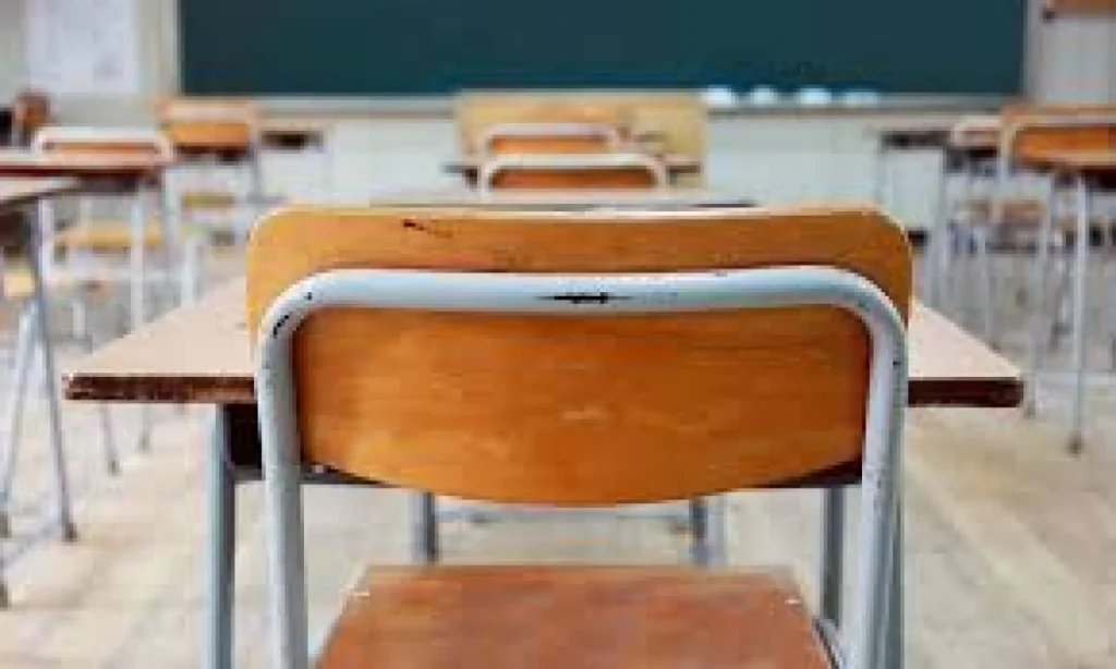 Petition Seeks to Scrap English as Main Teaching Language in Kenyan Schools