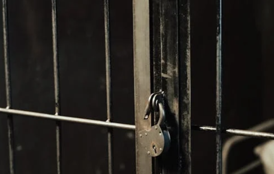 69-Year-Old British Woman Returns Home After 12 Years on Death Row in Indonesia