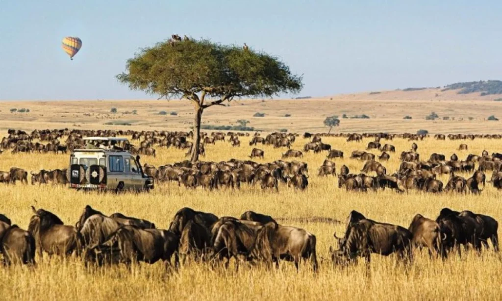Amboseli or Empusel? The Maasai Story Behind Kenya’s Iconic National Park