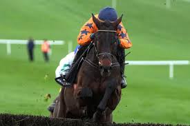 Final Demand Shines on Fences, Boosting Mullins’ Cheltenham Prospects